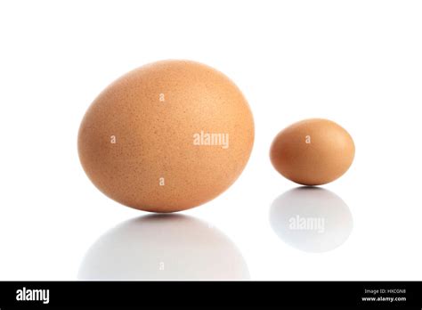 XXL eggs, XXL Ei Stock Photo - Alamy
