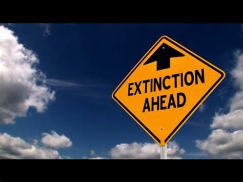 White Racial Extinction