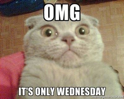 60 Hilarious Funny Wednesday Memes Quotes And Images – FunZumo