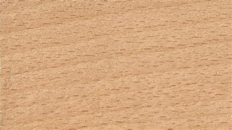 beech wood good  timber blogger