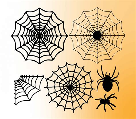 spider web svg