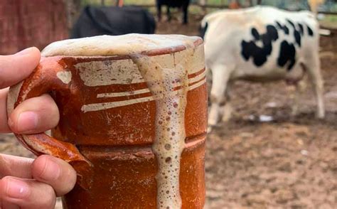 Having killed 25 people, pajarete known as drink of death in Jalisco