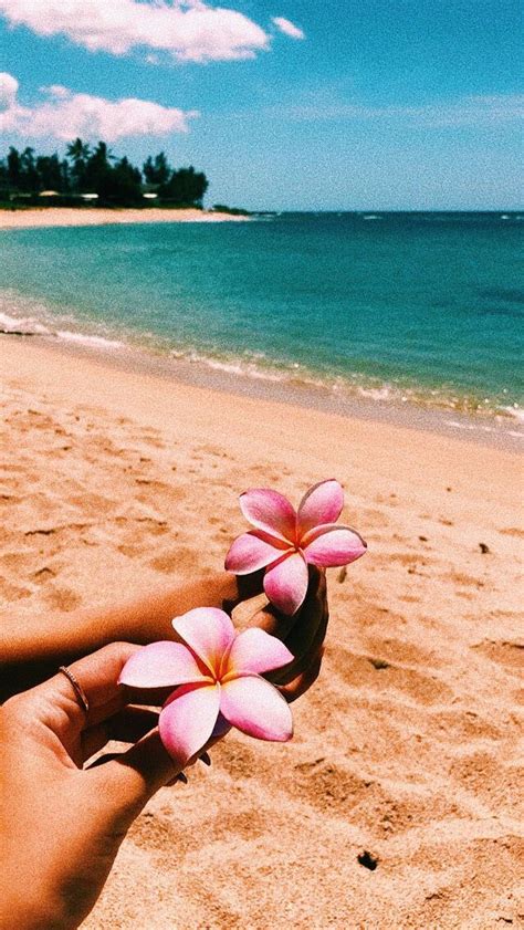 hawaiian flowers   beach summer aesthetic summer vibes beach vibes