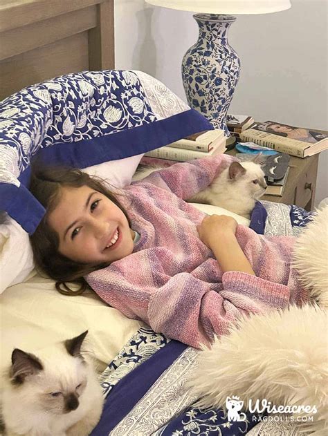 Why adopting from a ragdoll rescue is a life changing choice 1