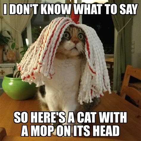 The Secret World Of Hilarious Dirty GIFs: What You DON'T Know Image 5