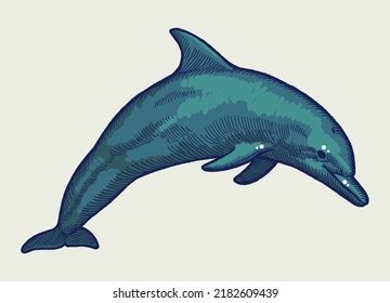 Realistic Dolphin Drawing