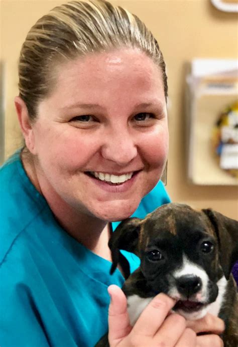 Happy National Vet... - Brookside Animal Hospital