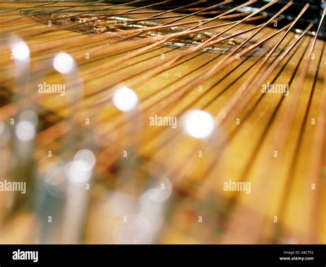 Kozak art music Ukrainian bandura kobza kobsa torban Stock Photo - Alamy