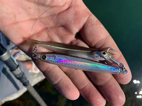 The Best Atlantic Silverside Imitations for Catching Striped Bass