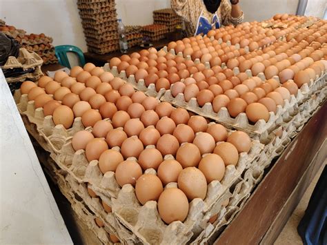 Egg Prices Plummet - Newsweek