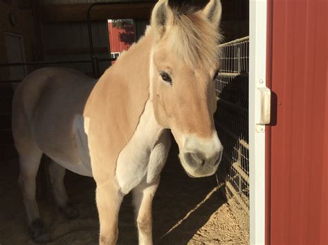 Luann by Greg Evans and Karen Evans for November 13, 2009 - GoComics