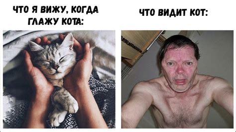 Лютые приколы - YouTube