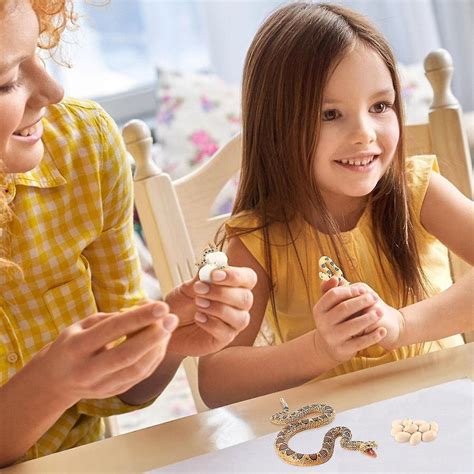 Boa Snake Growth Cycle,realistic Snake Model Toy | Life Cycle Figurines