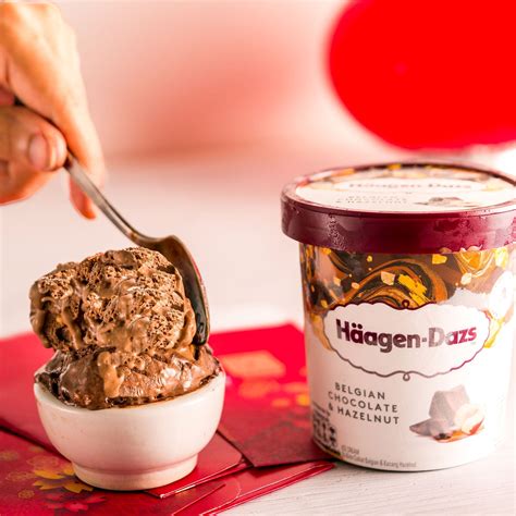 Häagen-Dazs 100ml Belgian Chocolate and Hazelnut - eBazaar Singapore