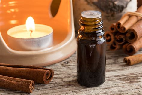 8 Cinnamon Essential Oil Benefits - Elevays