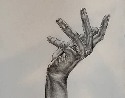 realistic drawings traditional art projects   logos