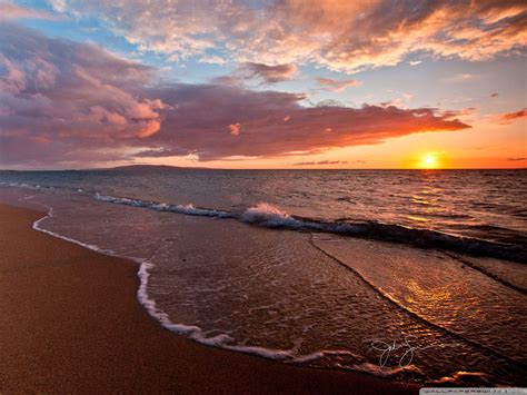 Download "A beautiful black and white sunset at the beach" Wallpaper ...