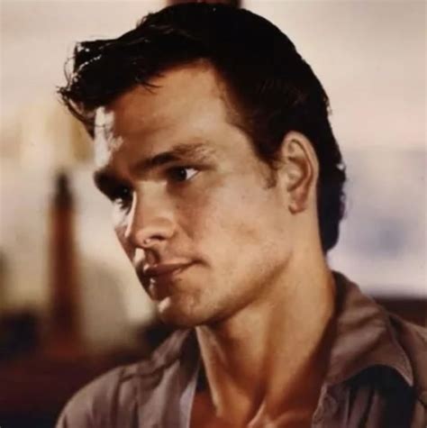 Darry Curtis The Outsiders