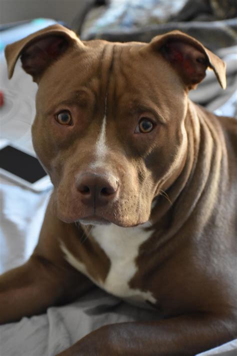 Madhotcollectibles.com - A DAY in MOVIE HISTORY - Dec 2, 1988: "Naked