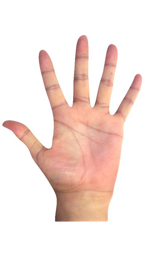 artstation  hand