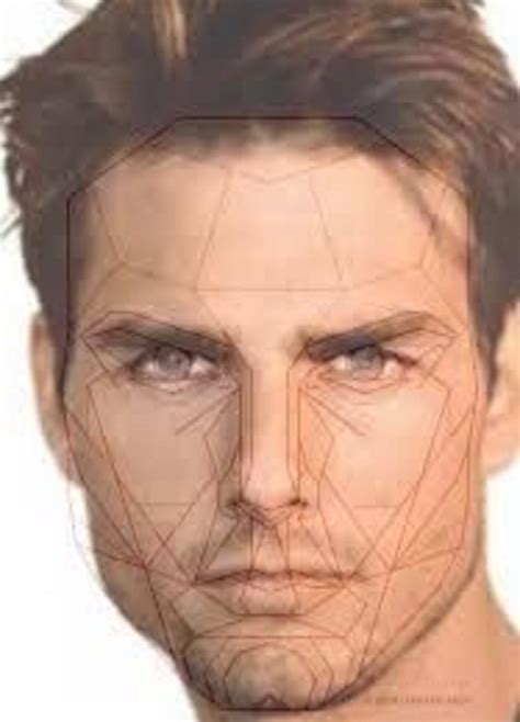 Perfect Face Proportions Male