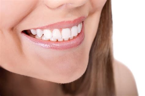 A Closer Look at the Different Parts of a Tooth - Smooth Sailing Dental