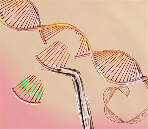 Mining (and Refining) the Stuff of Gene Editing Tools