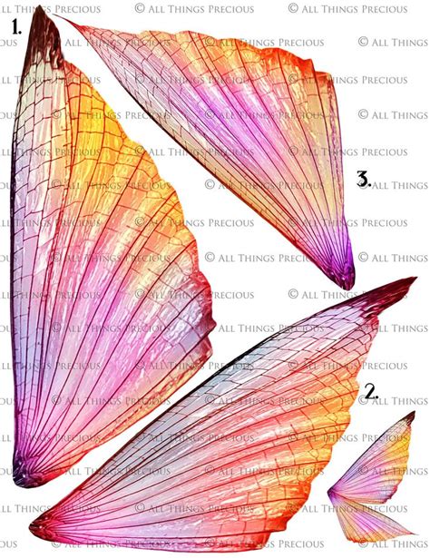 PRINTABLE FAIRY WINGS - Set 36