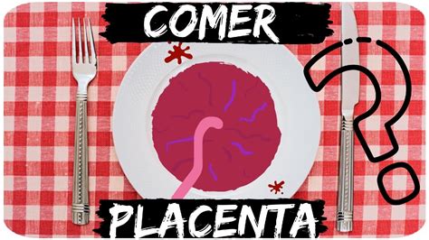 Comer A Placenta - 🍽 Placentofagia: COMER a PLACENTA‼️ Benefícios ou inconvenientes🤔 - YouTube