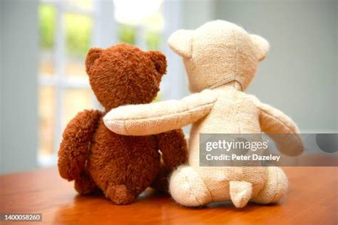 748 Back Of Teddy Bear Stock Photos, High-Res Pictures, and Images ...