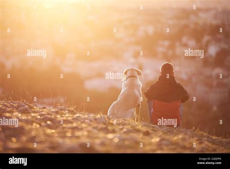 Back view man his dog sitting on hi-res stock photography and images ...