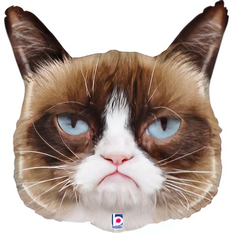Balloon Grumpy Cat brown