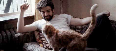 inside llewyn davis cat gif | Tumblr