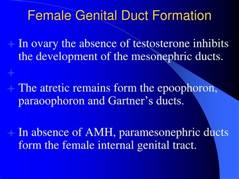 PPT - embryology &congeital anomalies of female genital tract