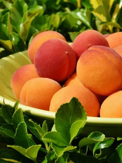 Peach Jars Leak: The Unexpected Twist You Won't See Coming! - fkqlh6m