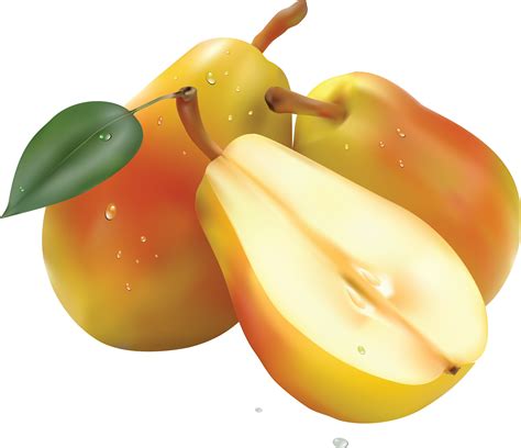 груша PNG фото