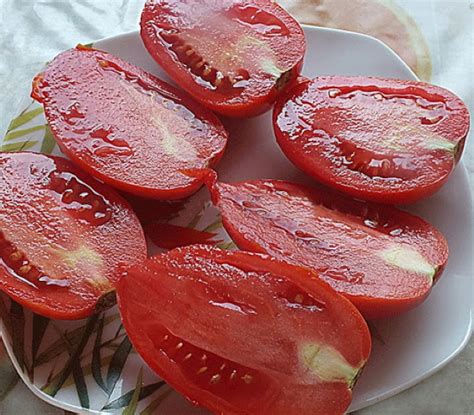 Розовая Стелла томат. Отзывы, фото, описание сорта