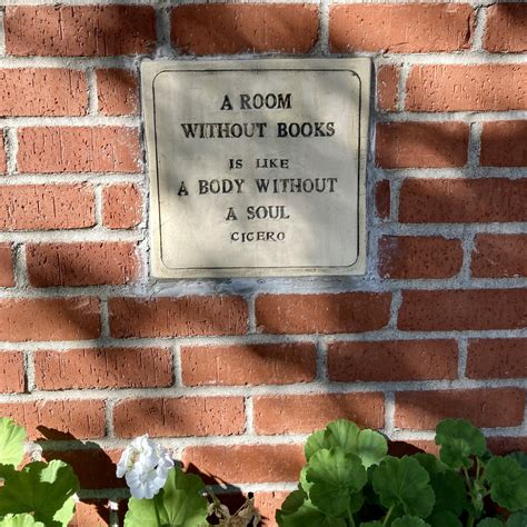 Ashley McCarthy (@ashadventuring) / Twitter