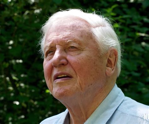 David Attenborough Explores His 93 Years on Earth in "A Live on Our Planet"