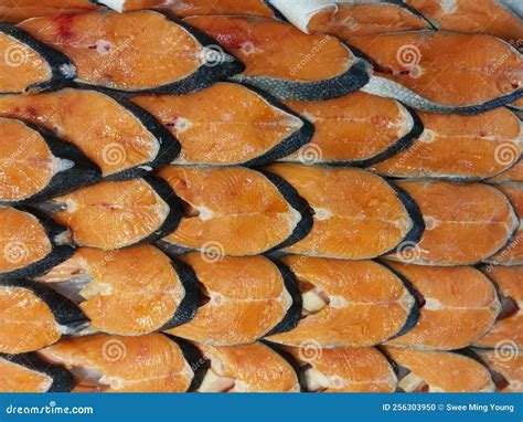 Sliced or Cut Ready Fresh Salmon Fish Meat for Sale. Stock Photo - Image of fish, white: 256303950