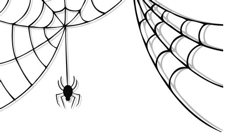 cute spider image transparent hq png  freepngimg