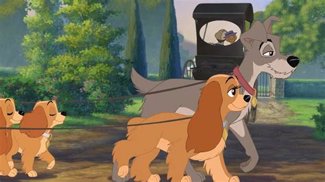 Lady and the Tramp II: Scamp’s Adventure (2001) – Movie Reviews Simbasible