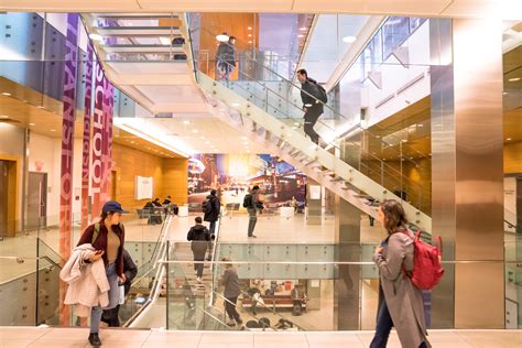 Academics at NYU: Choose Your Own Adventure - MEET NYU
