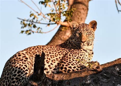 polokwane travel articles