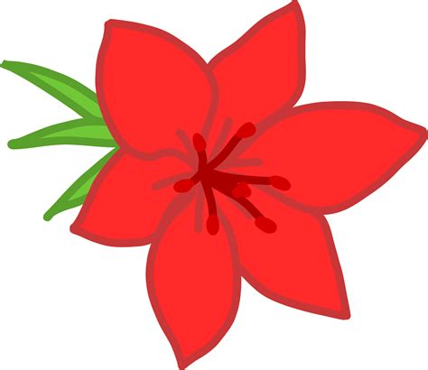 red flower png transparent images