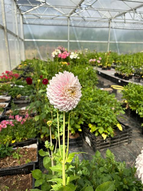 Home [www.hwhyde.co.uk]