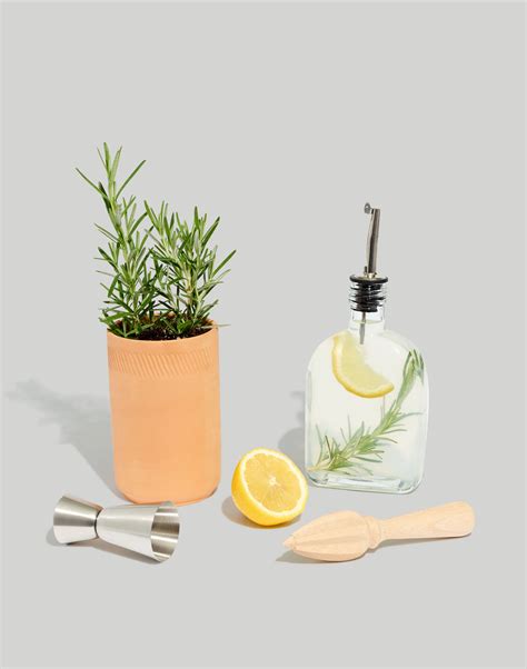 Modern Sprout® Garden Party Grow Kit | Madewell