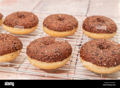 chocolate ring donuts high resolution stock photography  images alamy