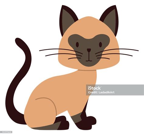 kucing menggemaskan duduk hewan peliharaan  kesepian hewan lucu