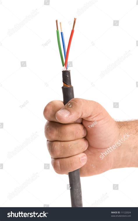 hand holding power cable stock photo  shutterstock